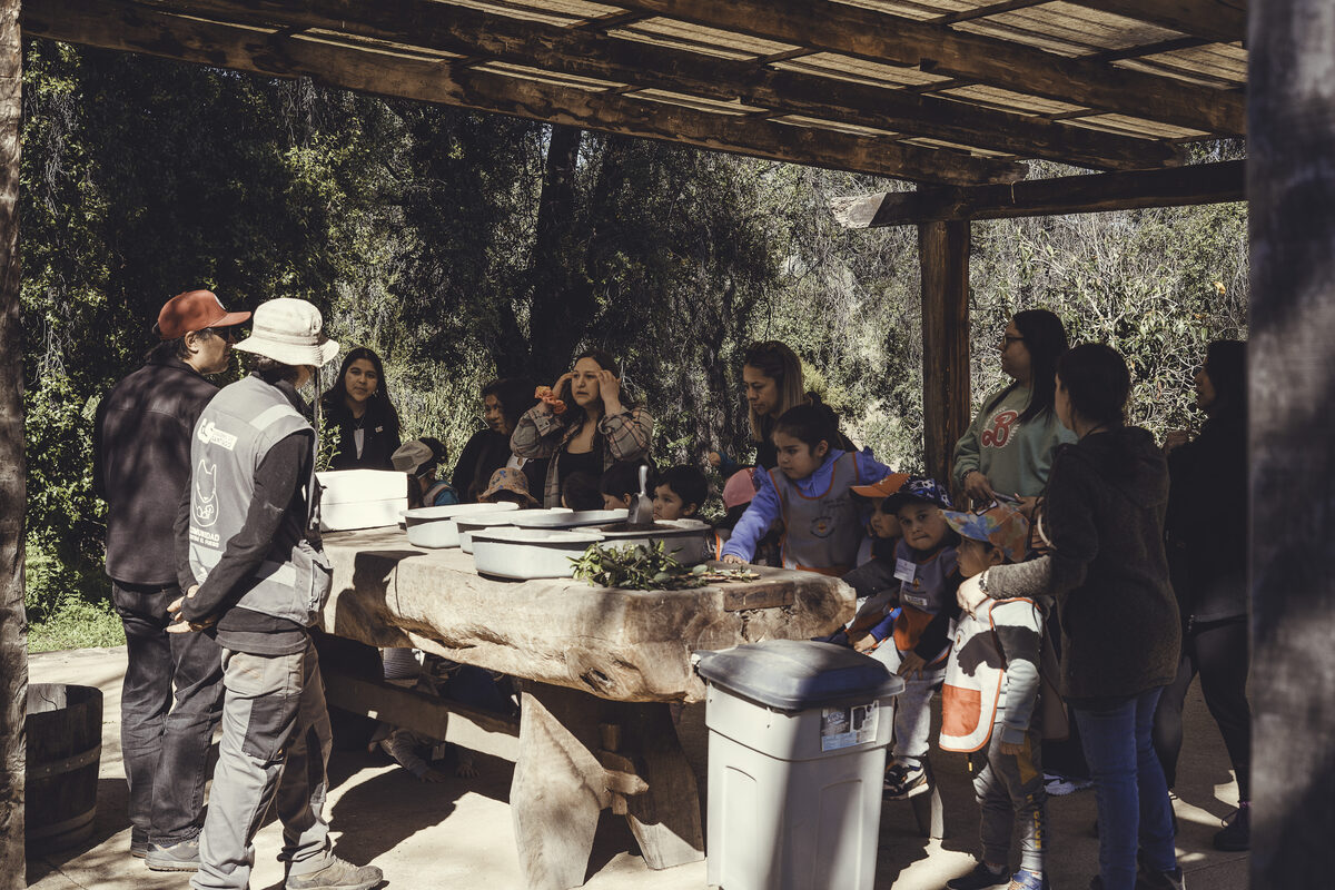 Educación ambiental en El Ajial