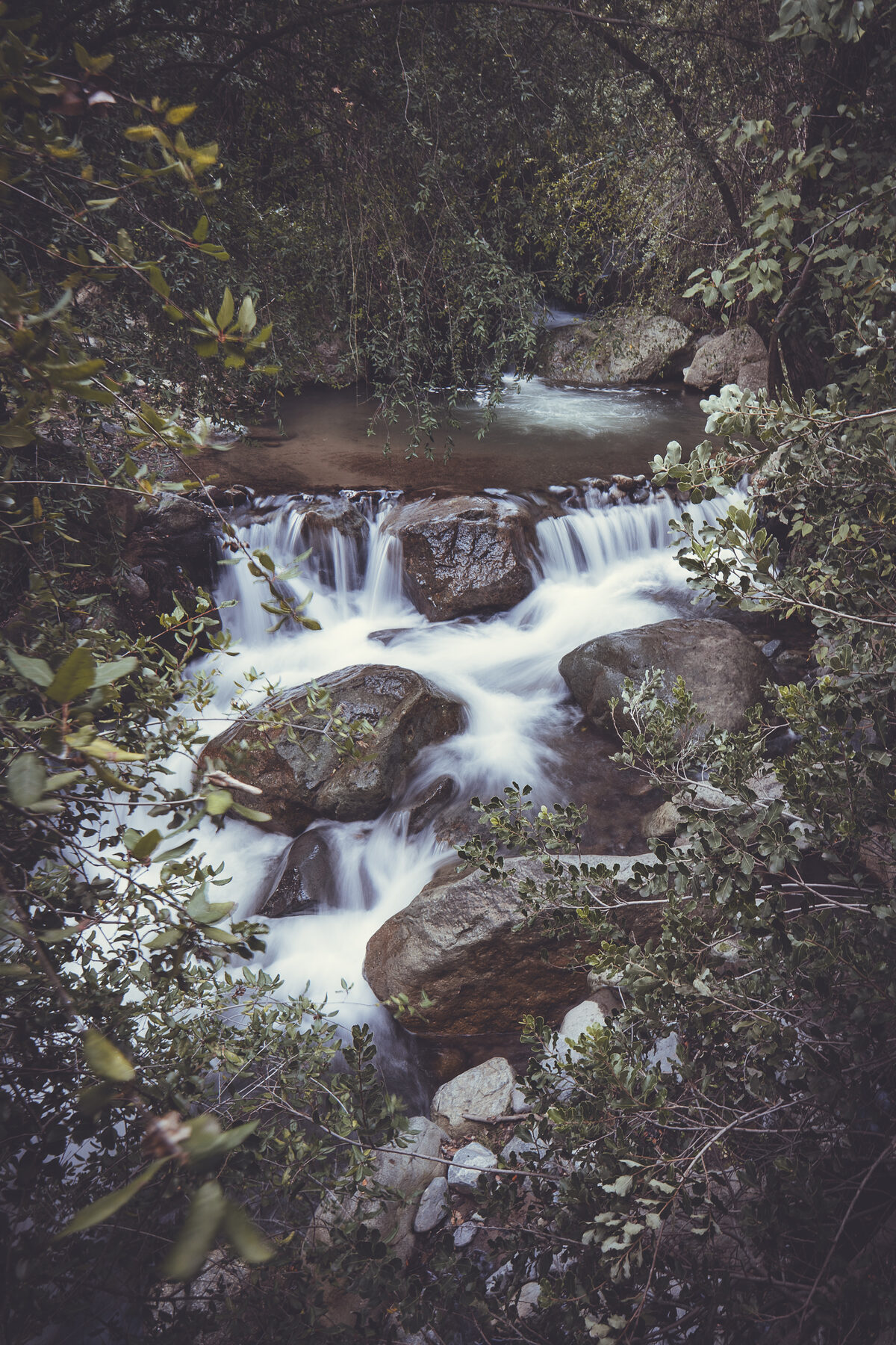 Estero El Ajial