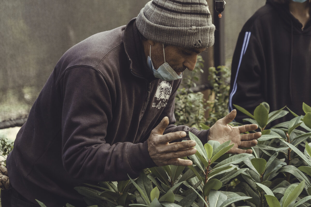 Vivero Rescate de Genética Local